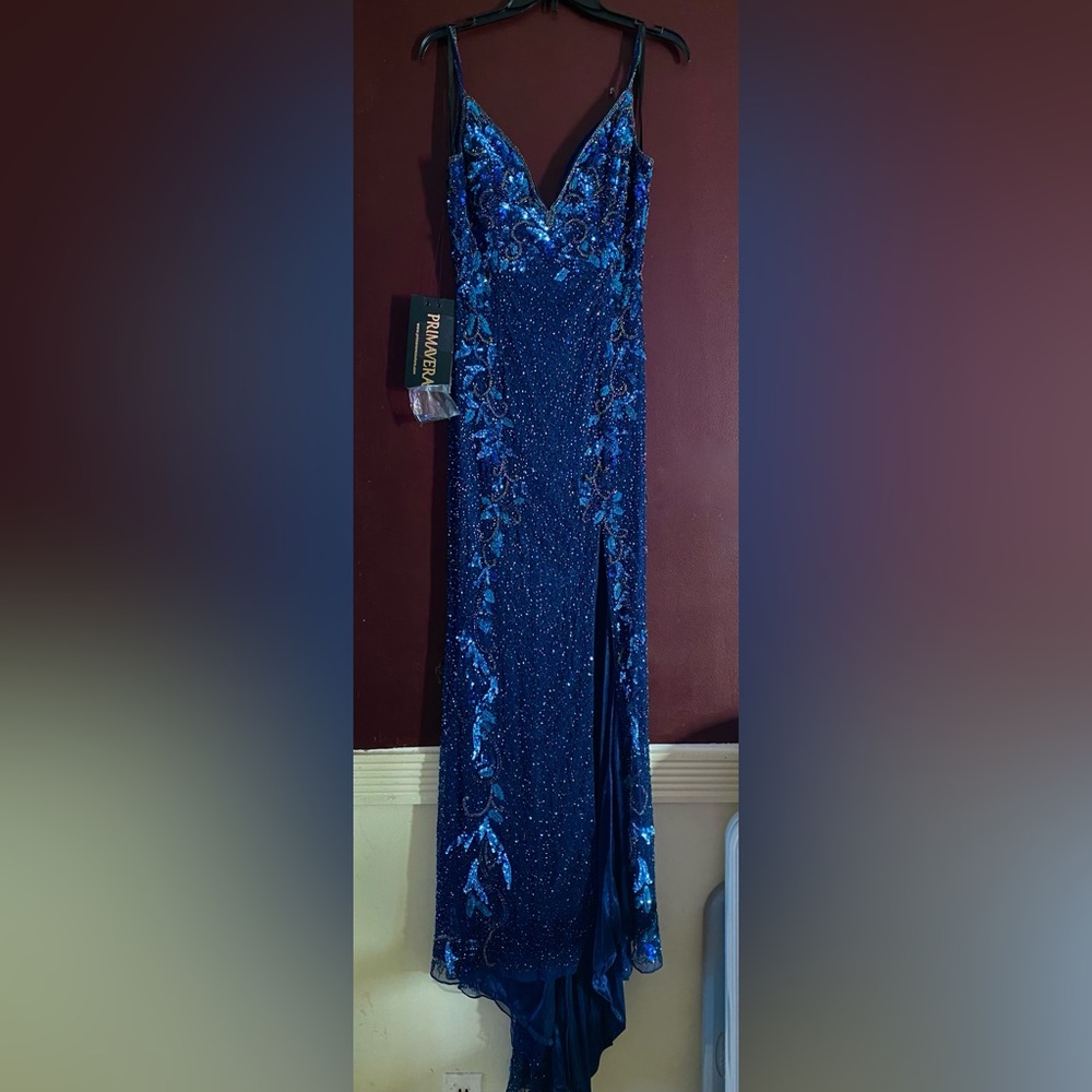 Primavera Evening/ Prom Dress - Picture 2 of 8